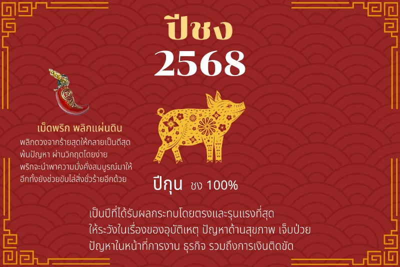 The Year of the Pig